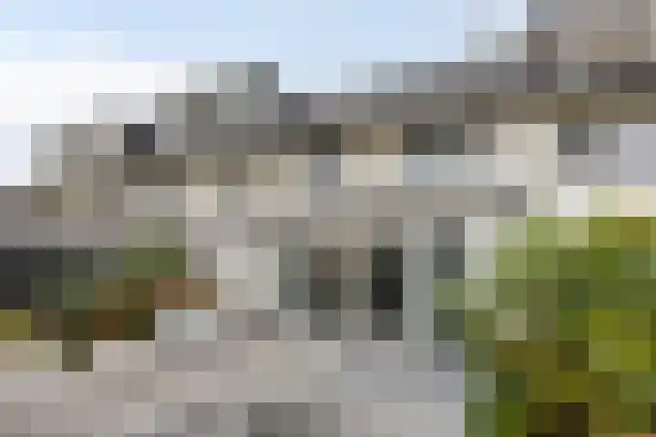 Vinkenburgweg 15 Odijk thumbnail 34