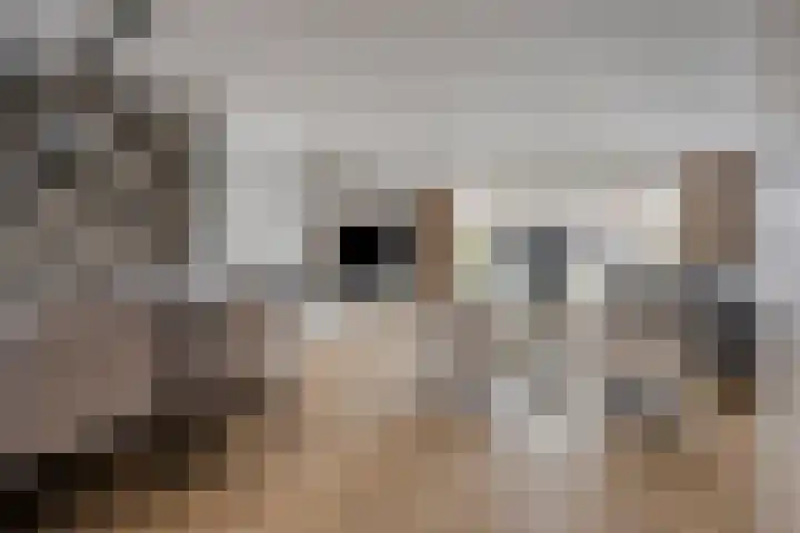 Vinkenburgweg 15 Odijk thumbnail 5