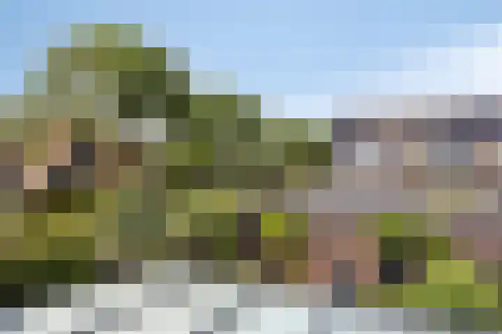 Vinkenerf 48 IJsselstein thumbnail 27