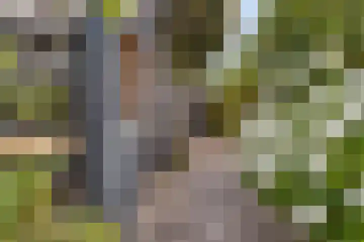 Vinkenerf 48 IJsselstein thumbnail 35