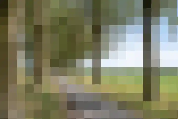 Vinkenerf 48 IJsselstein thumbnail 41