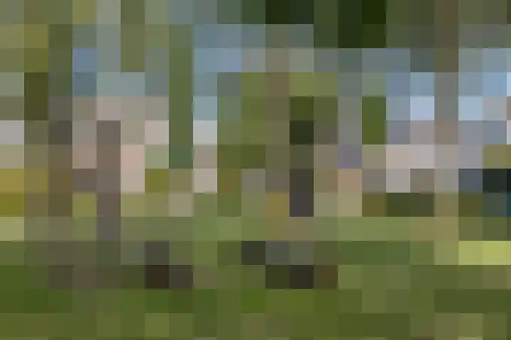 Vinkenerf 48 IJsselstein thumbnail 42