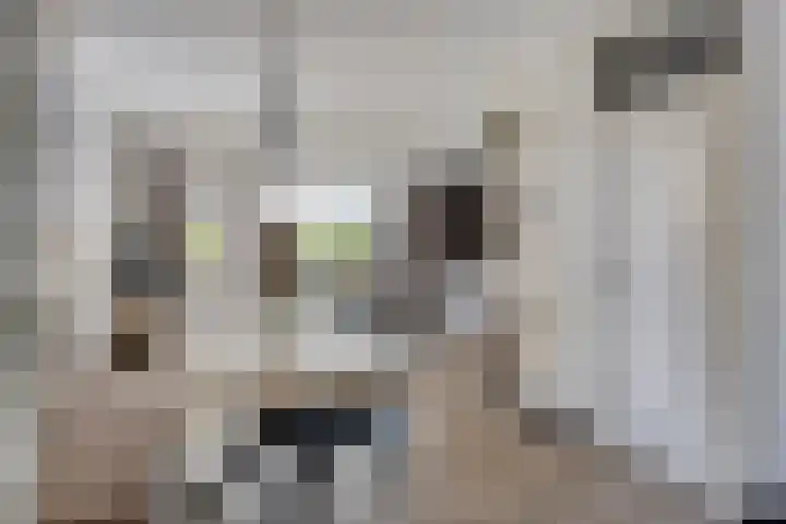 Vinkenerf 48 IJsselstein thumbnail 8