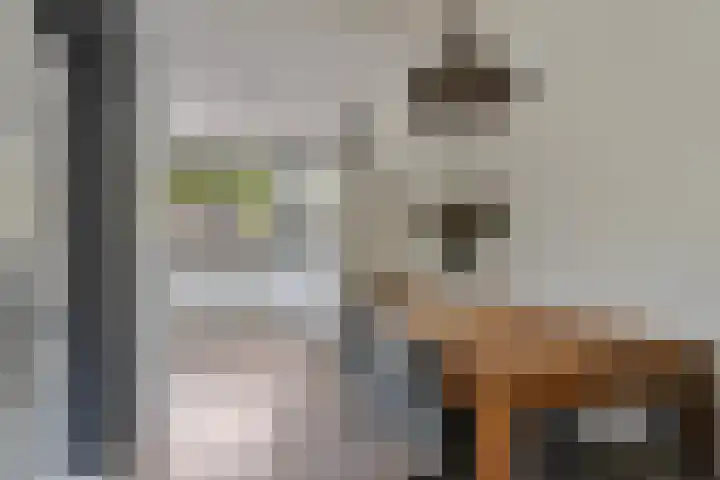 Vinkenheuvel 18 Esch thumbnail 11