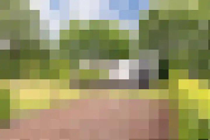 Vinkenkamp 10 V3 in Lieren