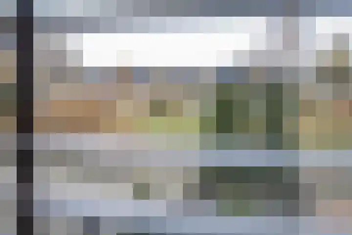 Vinkenpark 6 Dodewaard thumbnail 19