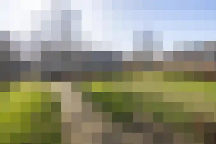 Vinkenpark 6 Dodewaard thumbnail 5