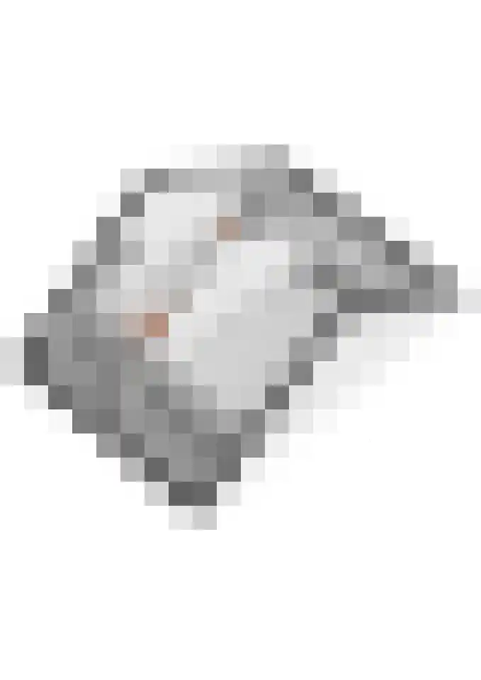 Vinkenpark 6 Dodewaard thumbnail 62