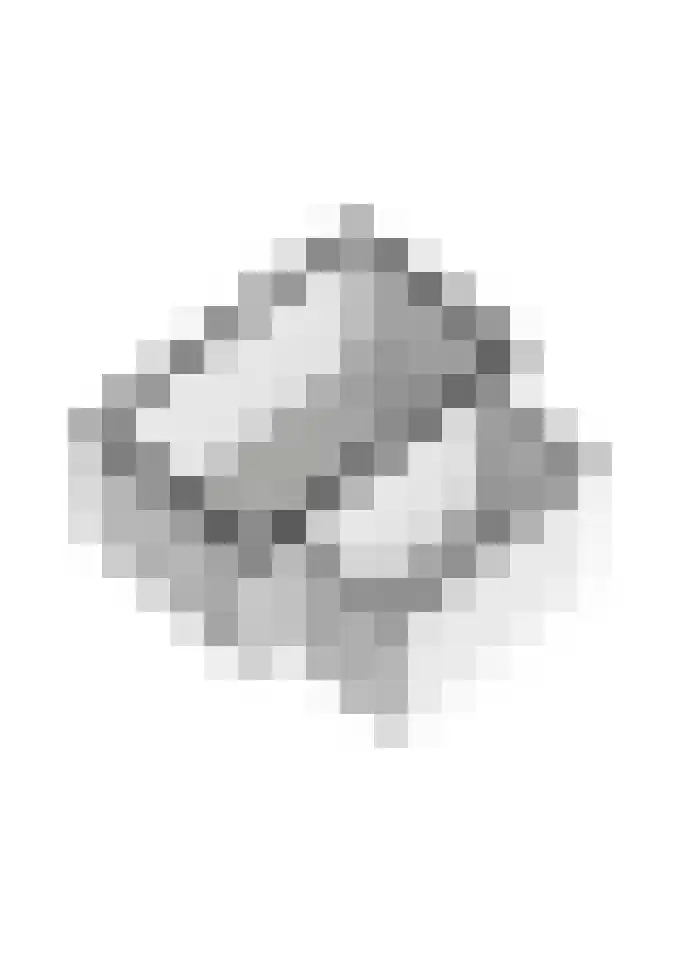 Vinkenpark 6 Dodewaard thumbnail 64
