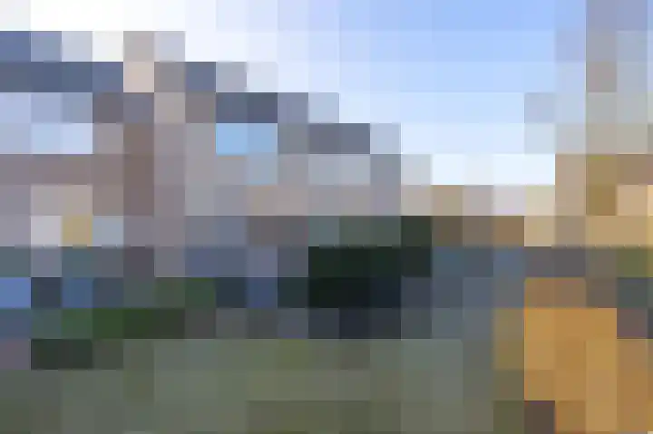 Vinkenpark 6 Dodewaard thumbnail 9
