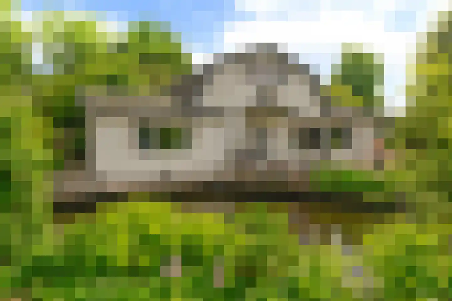 Vinkenslag 3 de Hoef