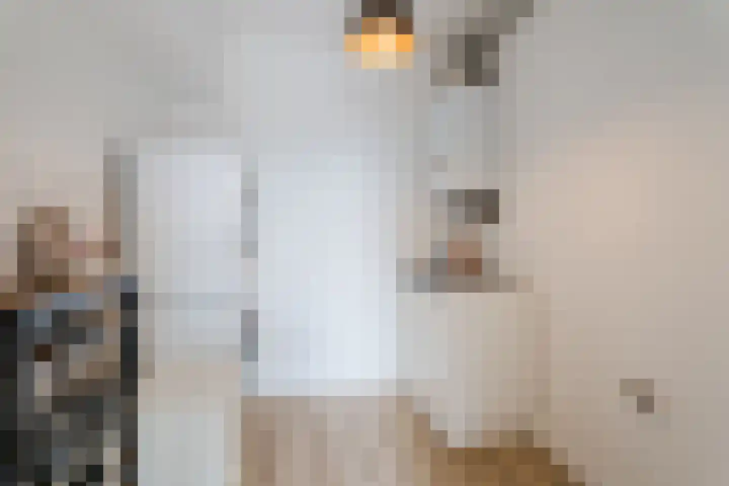 Vinkenstraat 42 Oss thumbnail 13