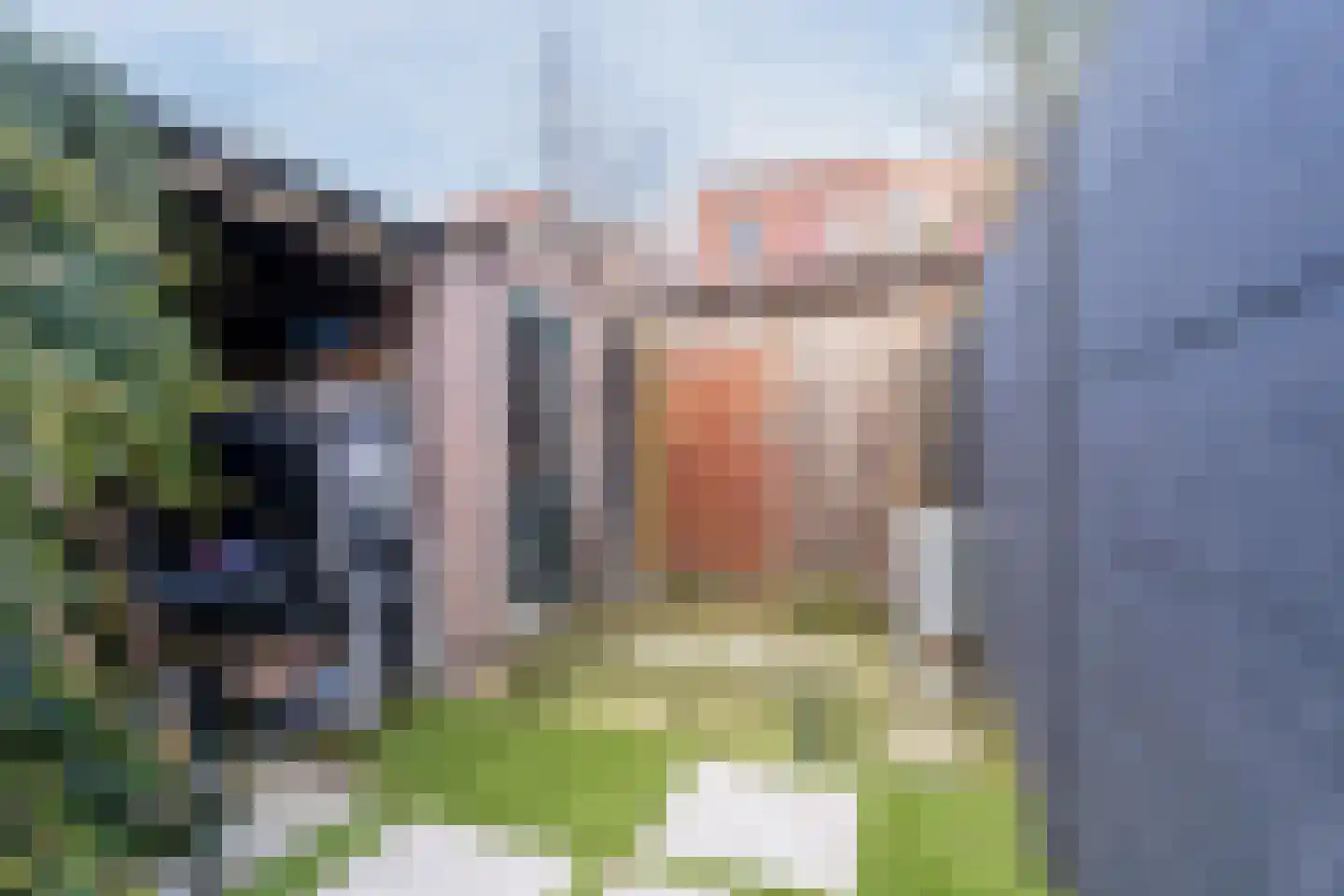Vinkenstraat 42 Oss thumbnail 29