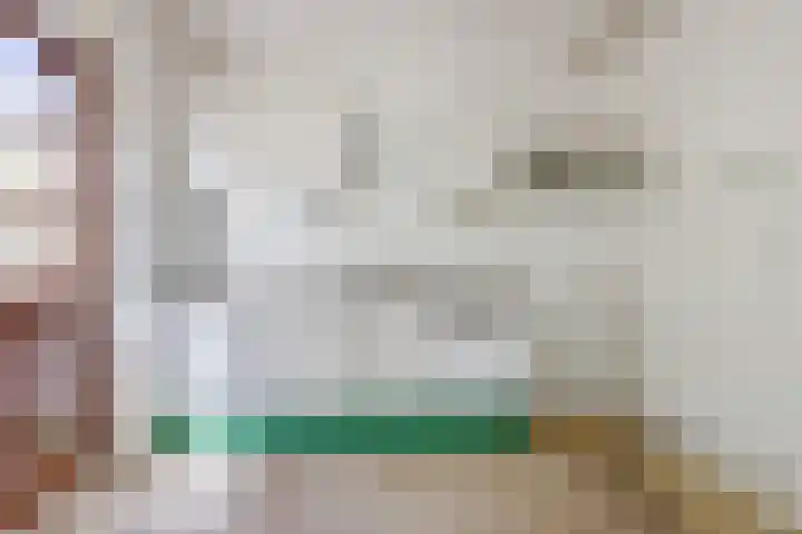 Vinkeslag 4 Boskoop thumbnail 12