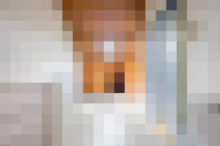 Vinkeslag 4 Boskoop thumbnail 26