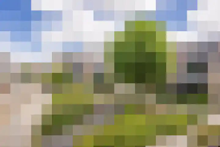 Vinkeslag 4 Boskoop thumbnail 29