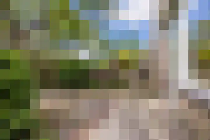 Vinkeslag 4 Boskoop thumbnail 31