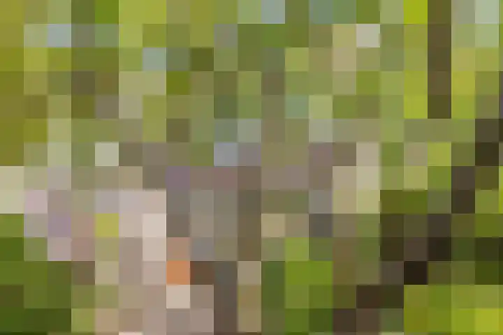 Vinkeslag 4 Boskoop thumbnail 34