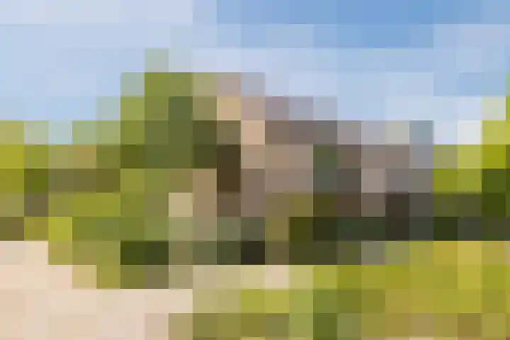 Vinkeslag 4 Boskoop thumbnail 42