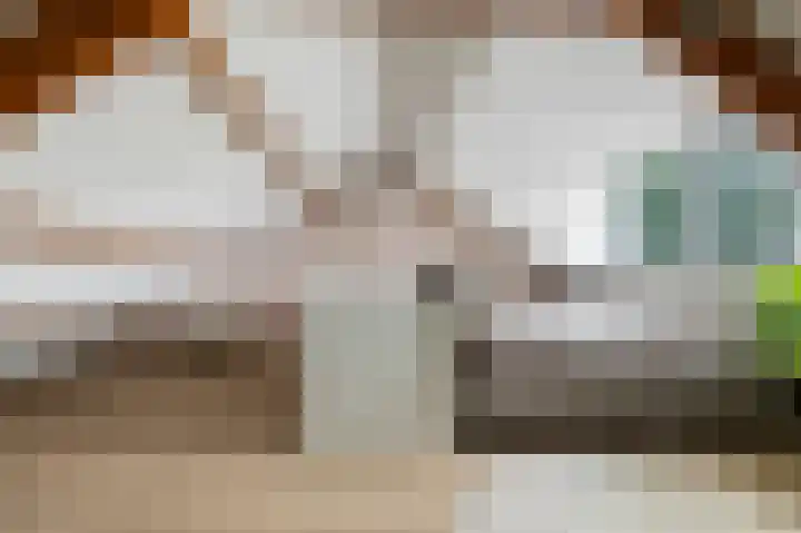 Vinkstraat 1 Goor thumbnail 17