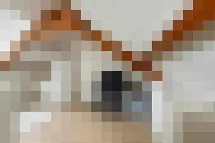 Vinkstraat 1 Goor thumbnail 18