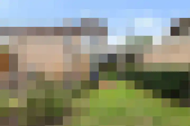 Vinkstraat 1 Goor thumbnail 20