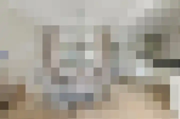 Vinkstraat 1 Goor thumbnail 6