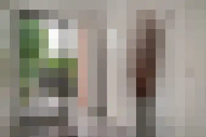 Vinkstraat 21 Duiven thumbnail 10