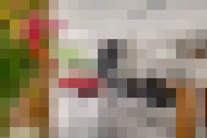 Vinkstraat 21 Duiven thumbnail 26