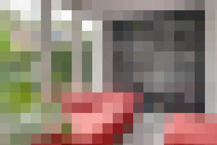 Vinkstraat 21 Duiven thumbnail 28