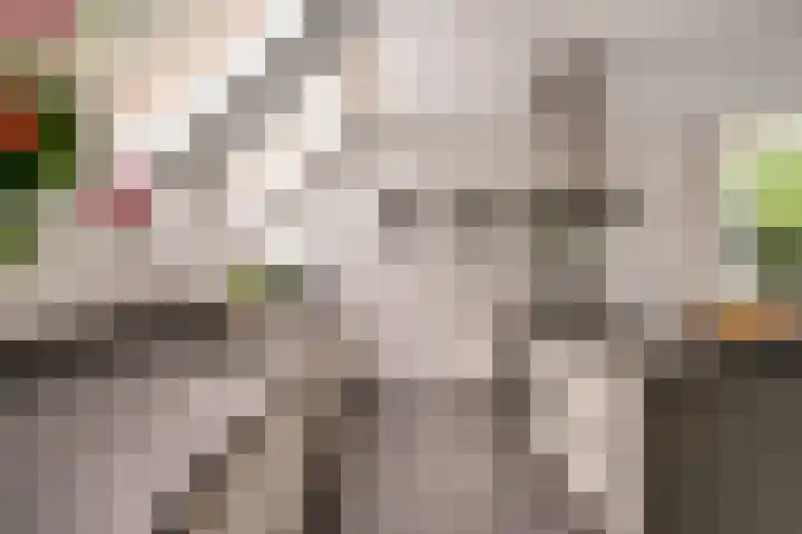 Vinkstraat 21 Duiven thumbnail 31