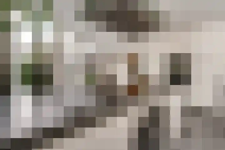 Vinkstraat 21 Duiven thumbnail 34