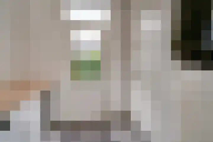 Vinkstraat 21 Duiven thumbnail 38