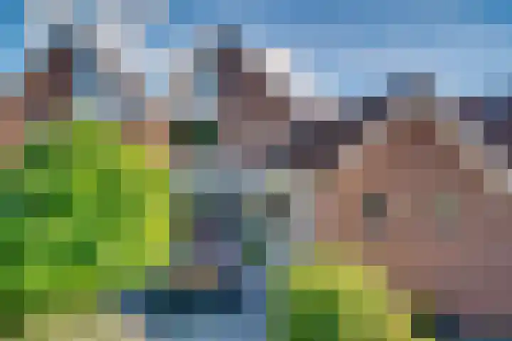 Vinkstraat 21 Duiven thumbnail 42