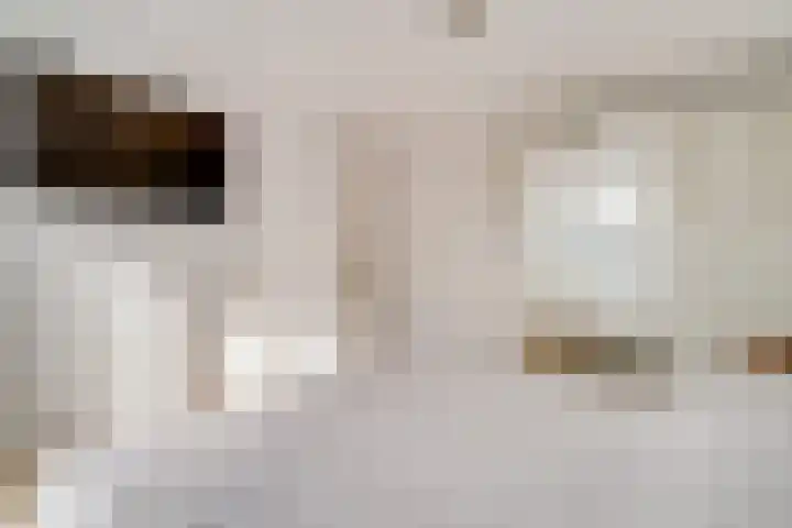 Vinkstraat 21 Duiven thumbnail 51
