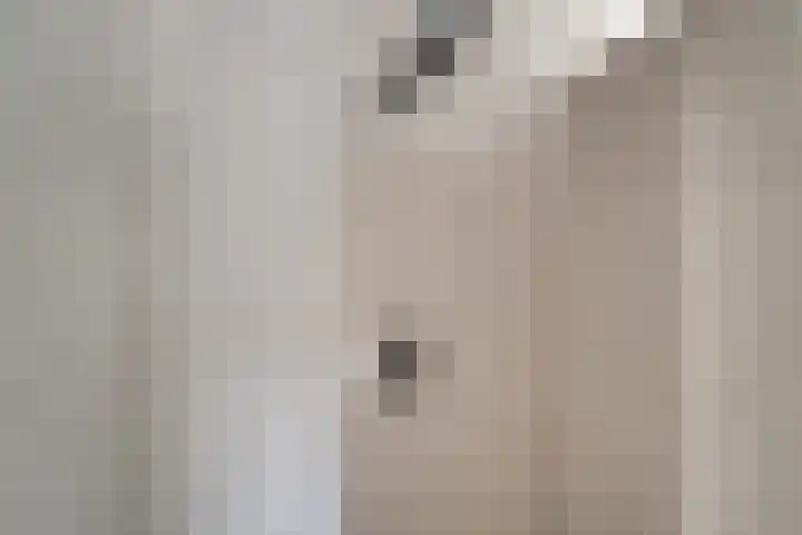 Vinkstraat 21 Duiven thumbnail 55