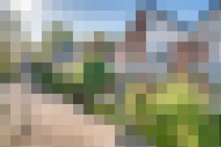 Vinkstraat 21 Duiven thumbnail 6