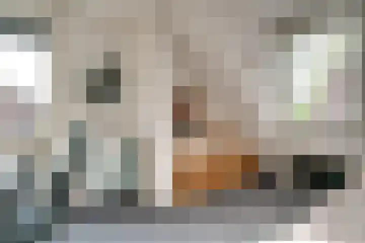 Vinkstraat 21 Duiven thumbnail 60