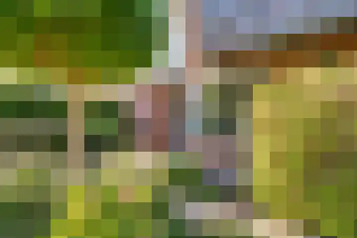 Vinkstraat 21 Duiven thumbnail 8