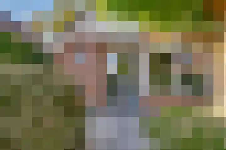 Vinkstraat 21 Duiven thumbnail 9