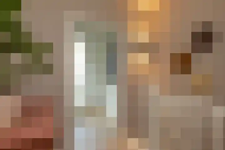 Violenstraat 112 Hilversum thumbnail 14