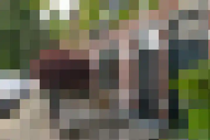 Violenstraat 112 Hilversum thumbnail 28