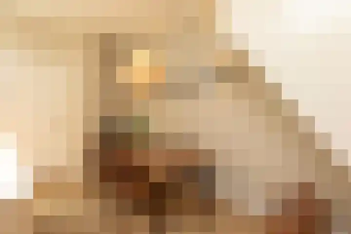 Violenstraat 112 Hilversum thumbnail 9