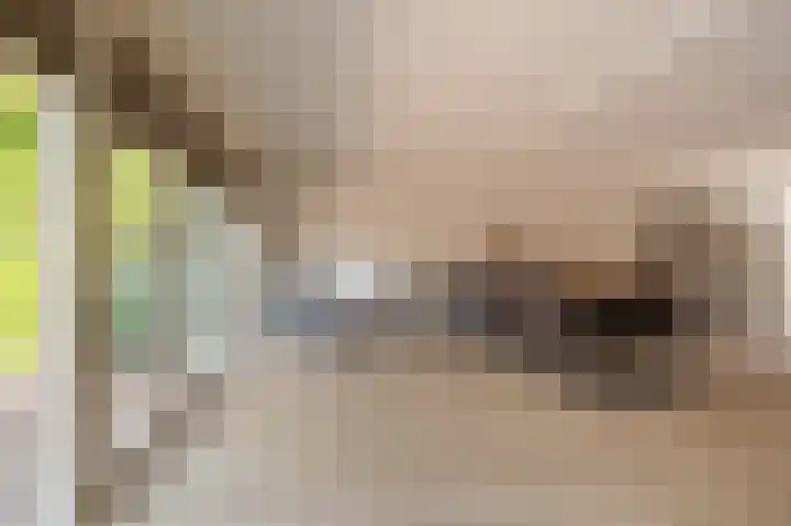 Violenstraat 24 b Sappemeer thumbnail 14