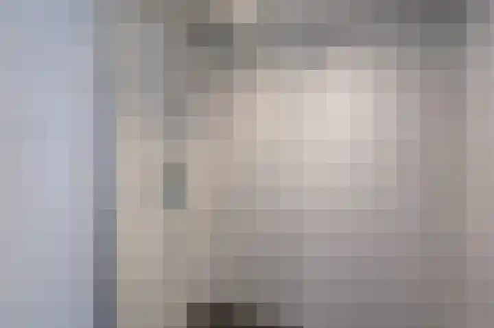 Violenstraat 24 b Sappemeer thumbnail 28