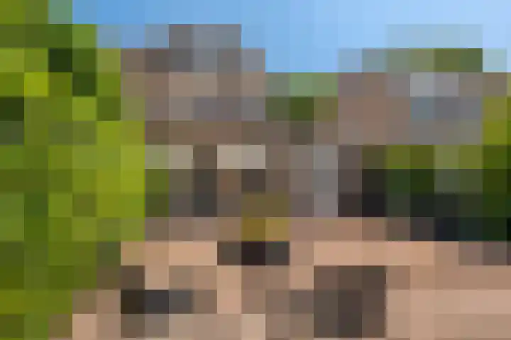 Violenstraat 24 b Sappemeer thumbnail 37