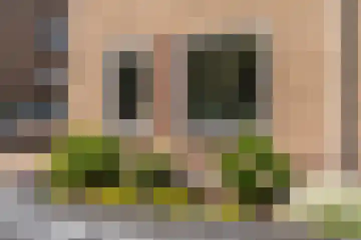 Violenstraat 24 b Sappemeer thumbnail 39