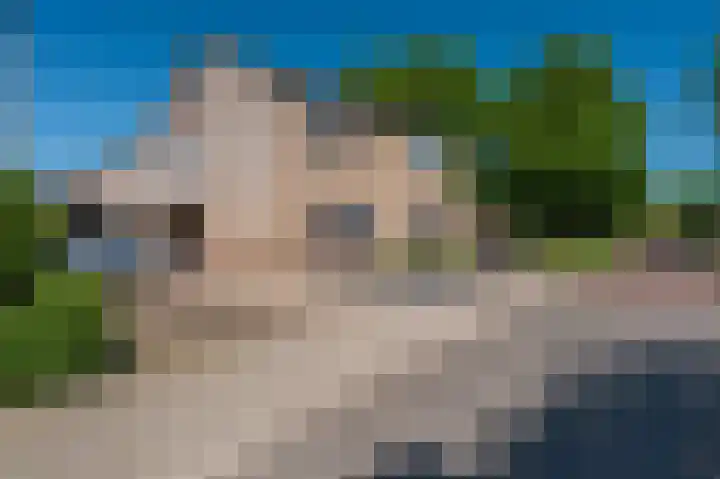 Violenstraat 24 b Sappemeer thumbnail 41