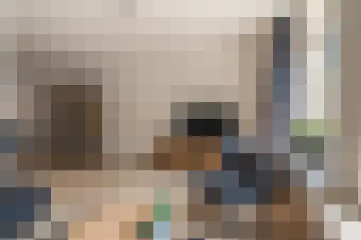 Violenstraat 24 b Sappemeer thumbnail 6