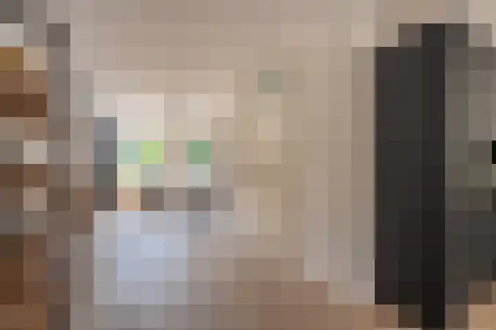 Violenstraat 24 b Sappemeer thumbnail 8
